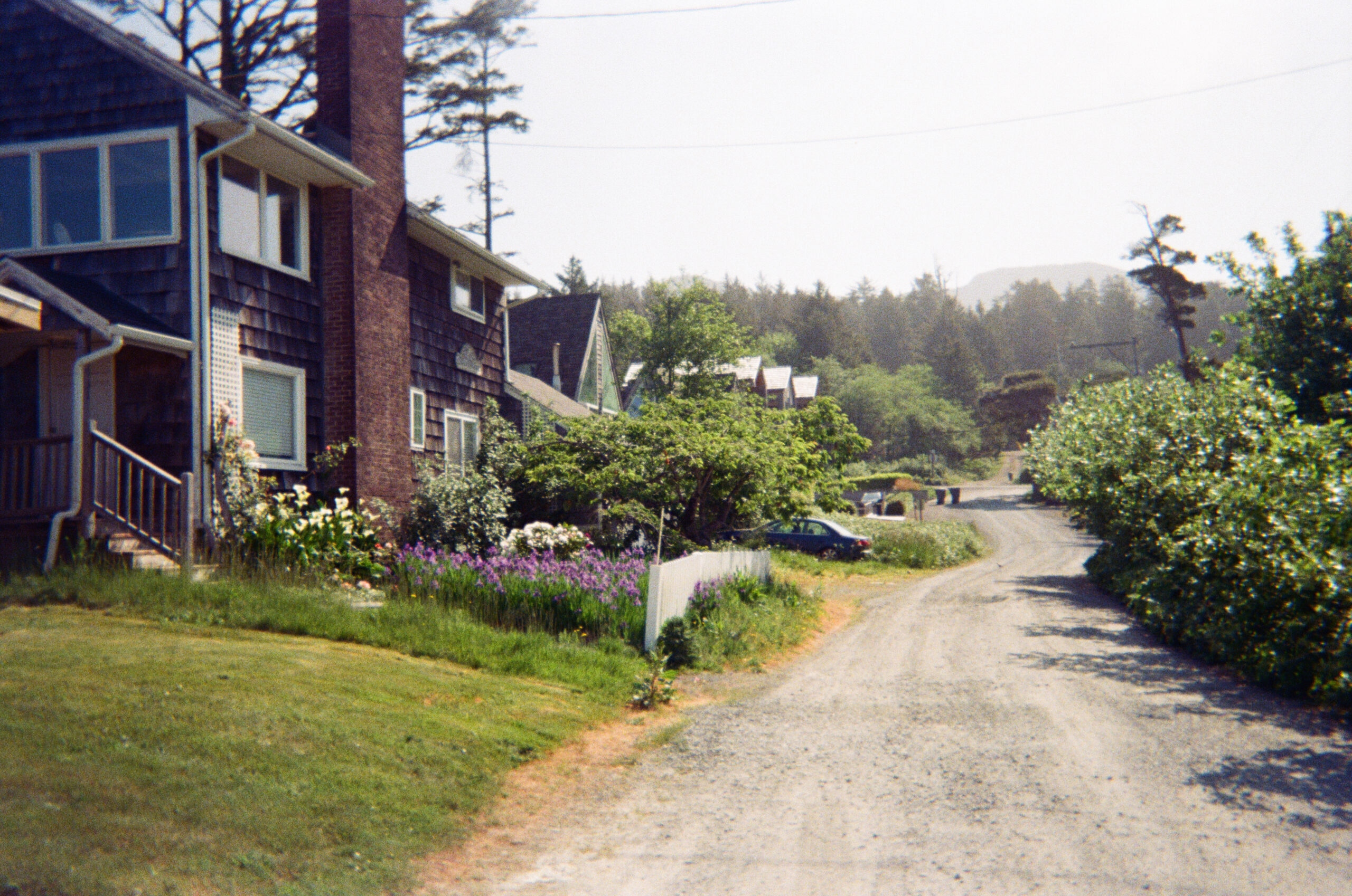 welcome to aijahmonet.com